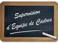 SUPERVISION equipe de cadres de direction