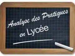 lycée professionnel agricole analyse des pratiques